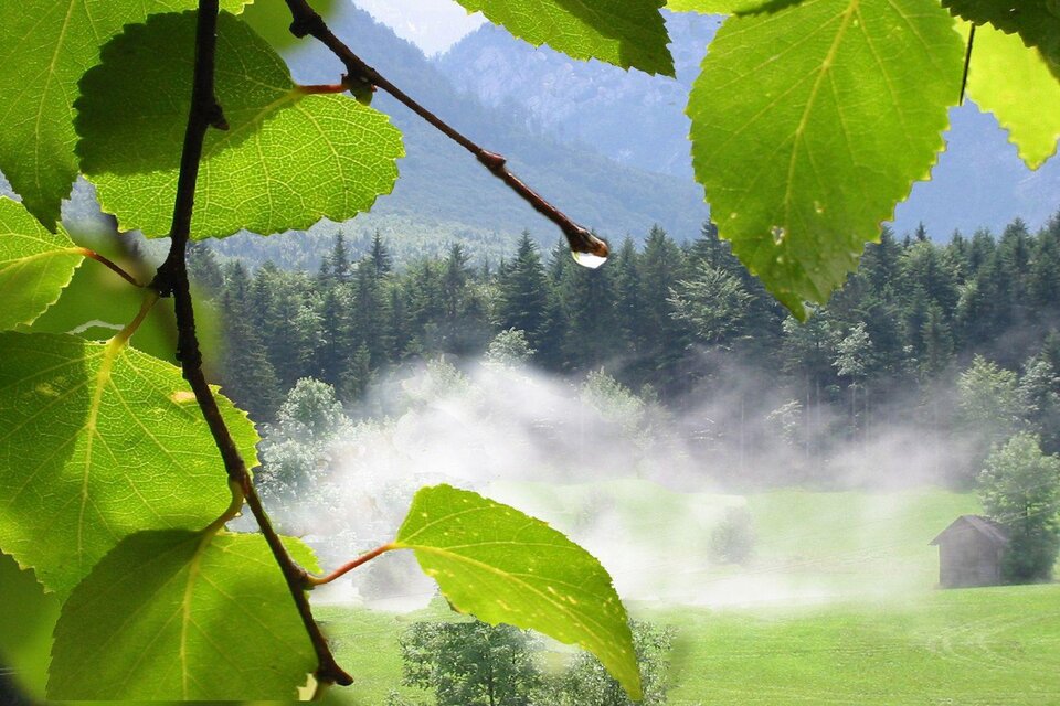Lebensbilder - Christine Struz - Impression #1 | © TVB Ausseerland - Salzkammergut_Eva Griese
