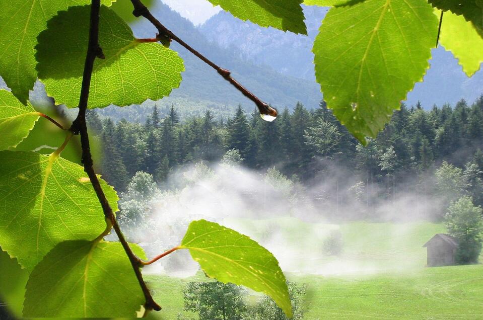Lebensbilder Christine Struz - Altaussee