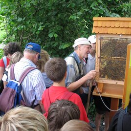 Bienenlehrpfad_Führung_Oststeiermark | © Josef Moritz