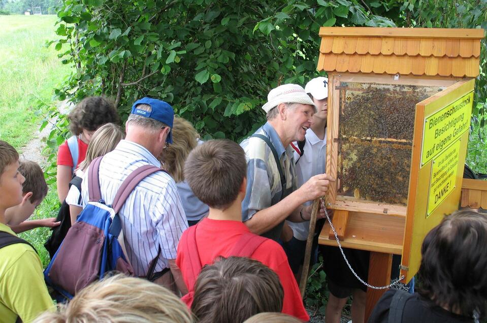 Educational Trail: Bee Nature Trail - Impression #1 | © Josef Moritz
