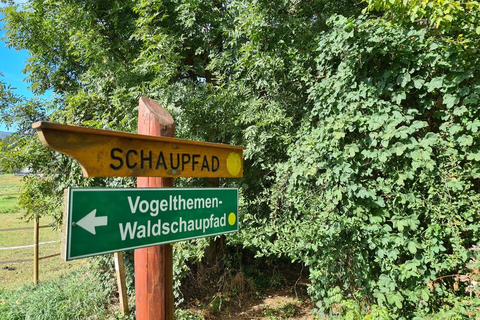 Lehrpfad Vogelthemenweg - Impression #1 | © Tourismusverband Oststeiermark