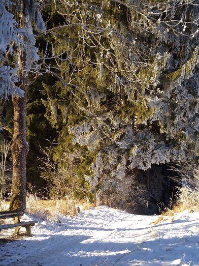 Winterlandschaft, Lenzbauern Dreigsang | © Melanie Irendorfer | Melanie Irendorfer | © Melanie Irendorfer