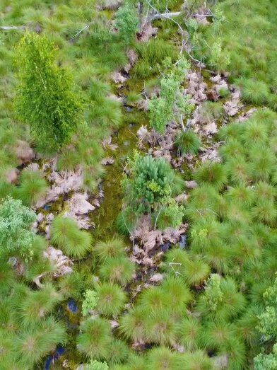 Luftaufnahme Moor | © TVB Bad Waltersdorf | © TVB Bad Waltersdorf