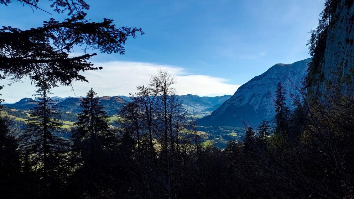 <p>Eine malerische Berglandschaft mit hohen Tannen und weitreichenden Ausblicken bis ins Ennstal. Die Sonne scheint auf die Berge im Hintergrund und der Himmel ist klar.</p> | © TVB Ausseerland Salzkammergut_Kolb