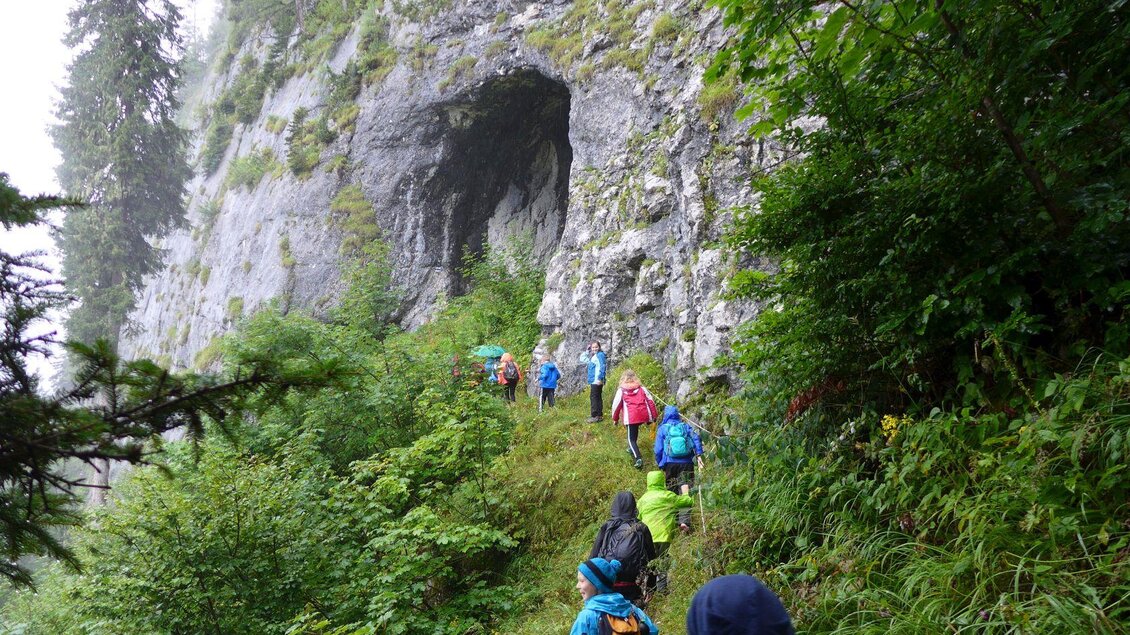 <p><p><p>Eine Gruppe von Wanderern geht einen schmalen Pfad entlang, umgeben von üppigem Grün und einer Felswand. Im Hintergrund ist eine Höhle, das Lieglloch, sichtbar und der Himmel ist bewölkt.</p></p></p> | © Robert Seebacher