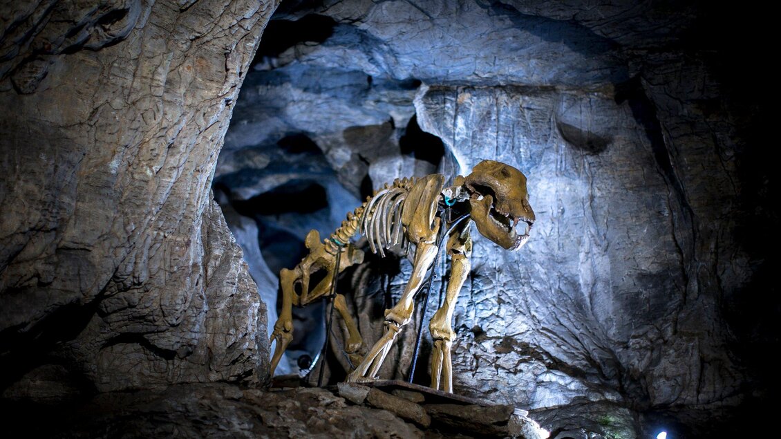 Lurgrotte Peggau | © Region Graz - Tom Lamm