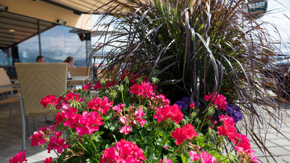 Bunte Blüten und grüne Pflanzen vor einem gemütlichen Café. Im Hintergrund sind Menschen und ein schöner Himmel zu sehen. | © M-Rast