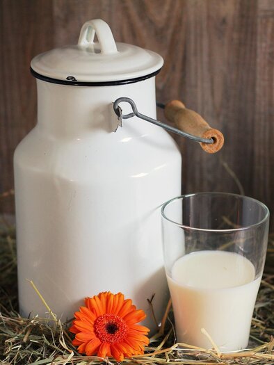Madl-Milch-Murtal-Steiermark | © Pixabay