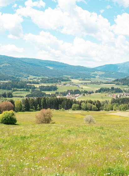 Ausblick auf die Gemeinde Mühlen | René Hochegger | © Tourismusverband Murau