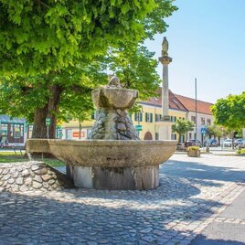 Ein schöner Brunnen in einem gepflasterten Platz, umgeben von grünen Bäumen. Im Hintergrund sind einige Gebäude und eine von Sonne beschienene Straße sichtbar. | © Sandra Brünner