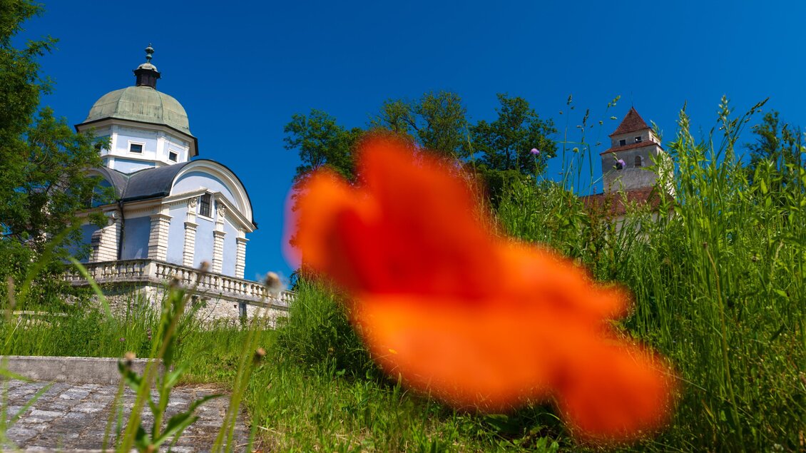Ein schönes Gebäude mit einer Kuppel und einem klaren blauen Himmel. Im Vordergrund ist eine orangefarbene Blume zu sehen. | © SYMBOL | SCHIFFER