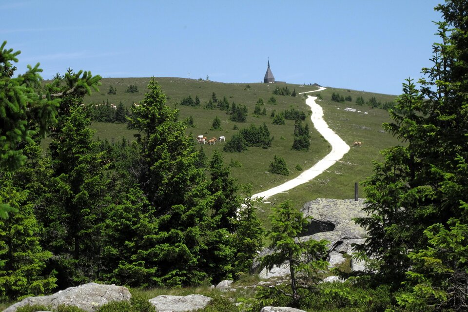 Mautstraße Hochwechsel - Impression #1 | © Oststeiermark Tourismus