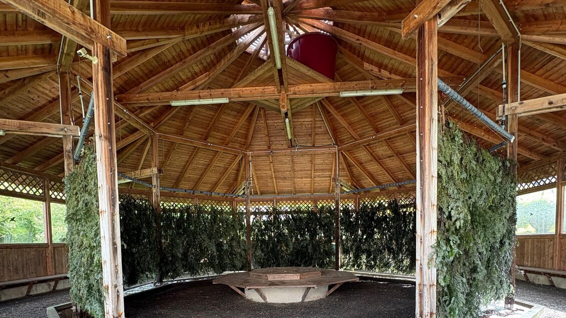 Ein runder Pavillon mit einem hohen Holzdach und einer zentralen Plattform. Vertikale Grünpflanzen hängen an den Wänden und schaffen eine natürliche Atmosphäre. | © Kräuterregion Wechselland / Oststeiermark Tourismus