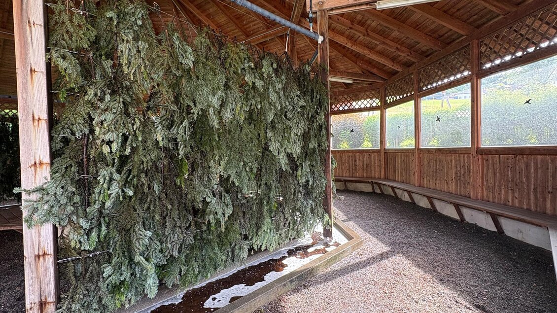 Ein kleiner, überdachter Raum mit einer Wand aus grünen Pflanzen. Der Boden besteht aus Kies und die Holzstruktur vermittelt eine rustikale Atmosphäre. | © Kräuterregion Wechselland / Oststeiermark Tourismus
