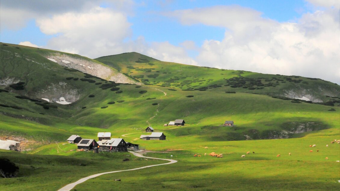 Schneealmplateau im Sommer | © Naturpark Mürzer Oberland