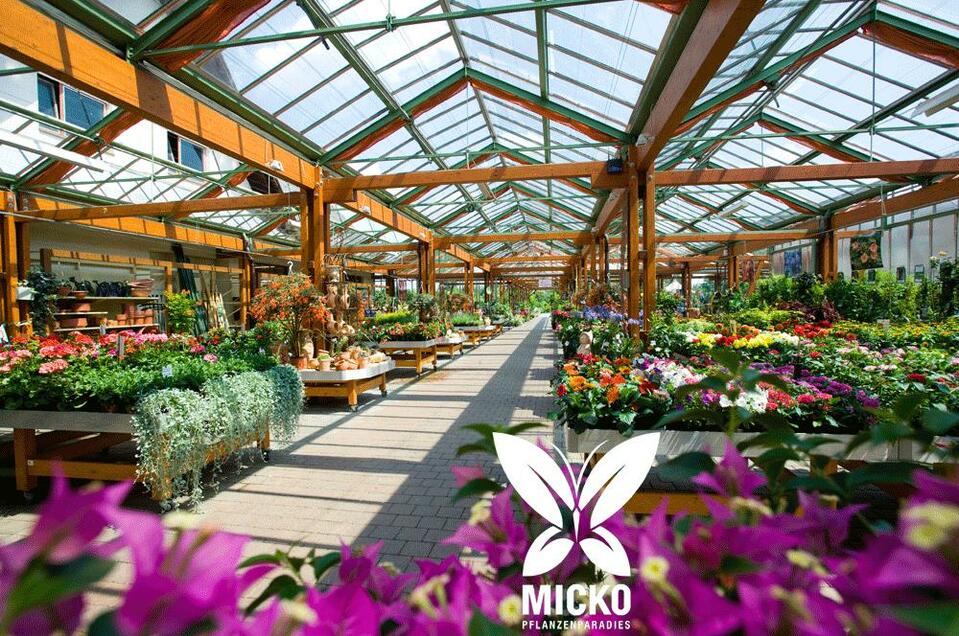 Micko Pflanzenparadies - Impression #1 | © Micko