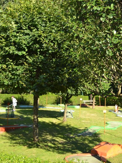 Minigolf beim Freizeitzentrum Römerhütte | © Freizeitzentrum Römerhütte