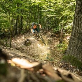 Mountain bikers in the forest_Eastern Styria | © Biker-Fürst