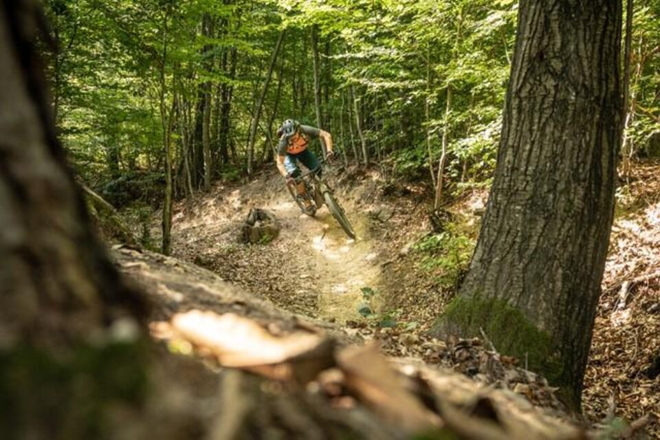 Mountain bike school Biking-Fürst - Impression #1 | © Biker-Fürst