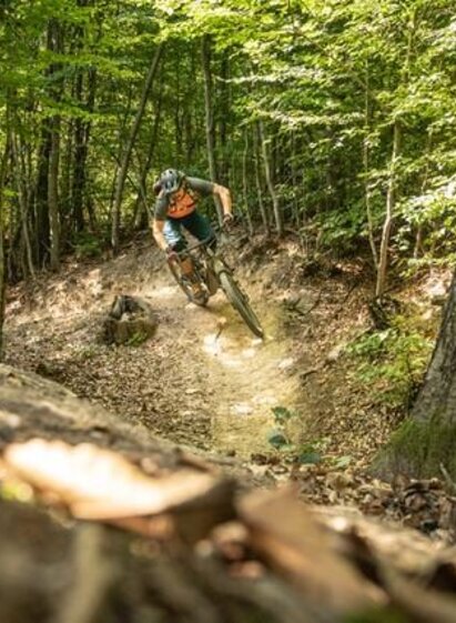Mountain bikers in the forest_Eastern Styria | Rene Kohlfürst | © Biker-Fürst