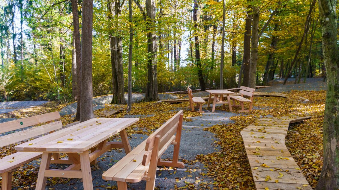 Ein ruhiger Wald mit Holztischen und Bänken, umgeben von bunten Herbstblättern. Der Boden ist mit Laub bedeckt und lädt zum Verweilen ein. | © MG Lannach - Petru Rimovetz