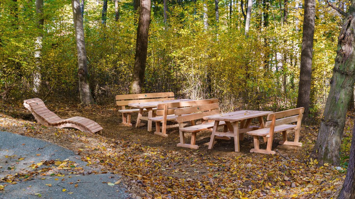 Eine Holzsitzgruppe mit Tischen und Bänken steht in einem herbstlichen Wald. Bunte Blätter bedecken den Boden. | © MG Lannach - Petru Rimovetz