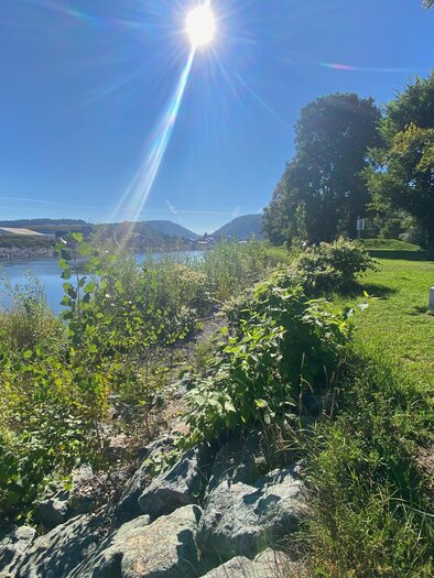 A break directly by the water: The Murspot is located on the Murradweg R2 in Judendorf. | © Valentina Wagner