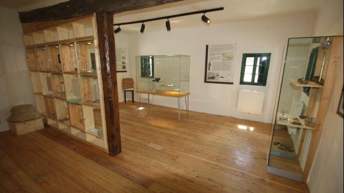 Ein gut beleuchteter Raum mit Holzfußboden und Vitrinen. Die Wände sind mit Informationspostern dekoriert. | © Museum Villa Retznei