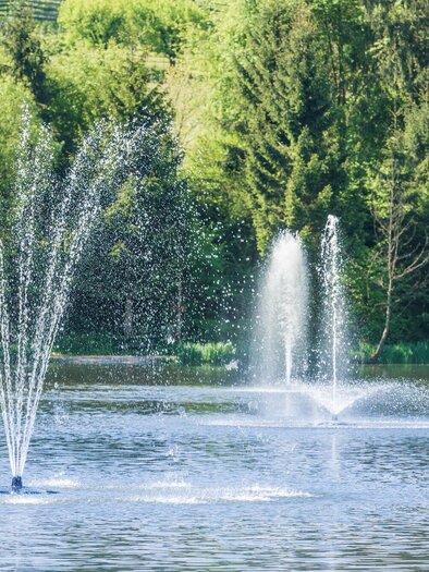 Naturerholungszentrum Grafenteich | © Lipizzanerheimat - Die Abbilderei