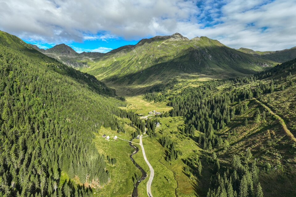 Natur & Holz auf der Alm - Wanderweg Eselsberger Alm - Impression #1 | © TVB Murau