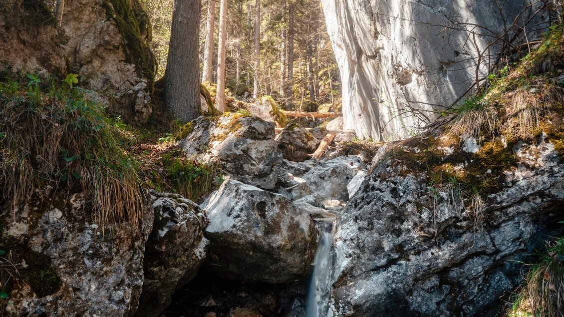 Ein kleiner Bachlauf stürtzt über Felsstufen in ein flaches Becken. Der Ort liegt in einem schattigen Waldstück direkt neben einer hohen Felswand. | © Christoph Lukas