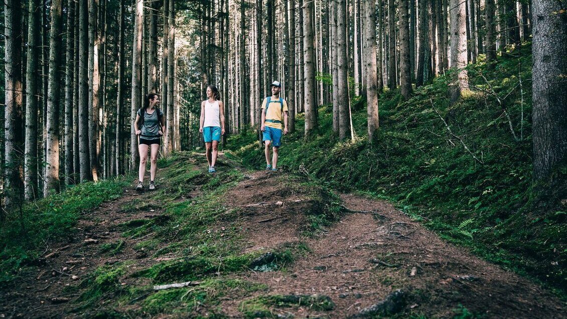 Drei Personen wandern auf einem naturbelassenen Pfad durch einen dichten Nadelwald. Der Wald ist cvon Wurzeln und Moos geprägt. | © Armin Walcher