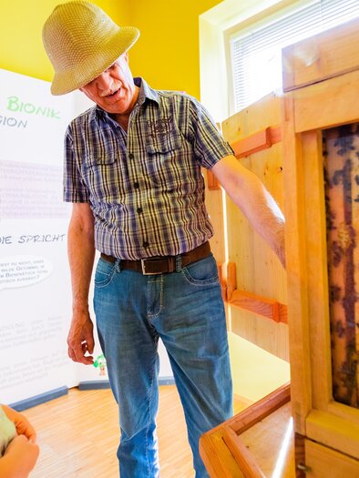 Ein Erwachsener zeigt einem Kind eine Bienenkiste. Beide schauen interessiert auf die Bienen und die Struktur im Inneren. | © TV Murau