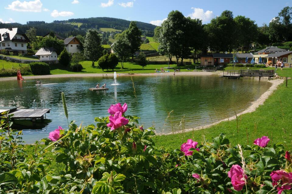 Natural swimming pond Fischbach - Impression #1