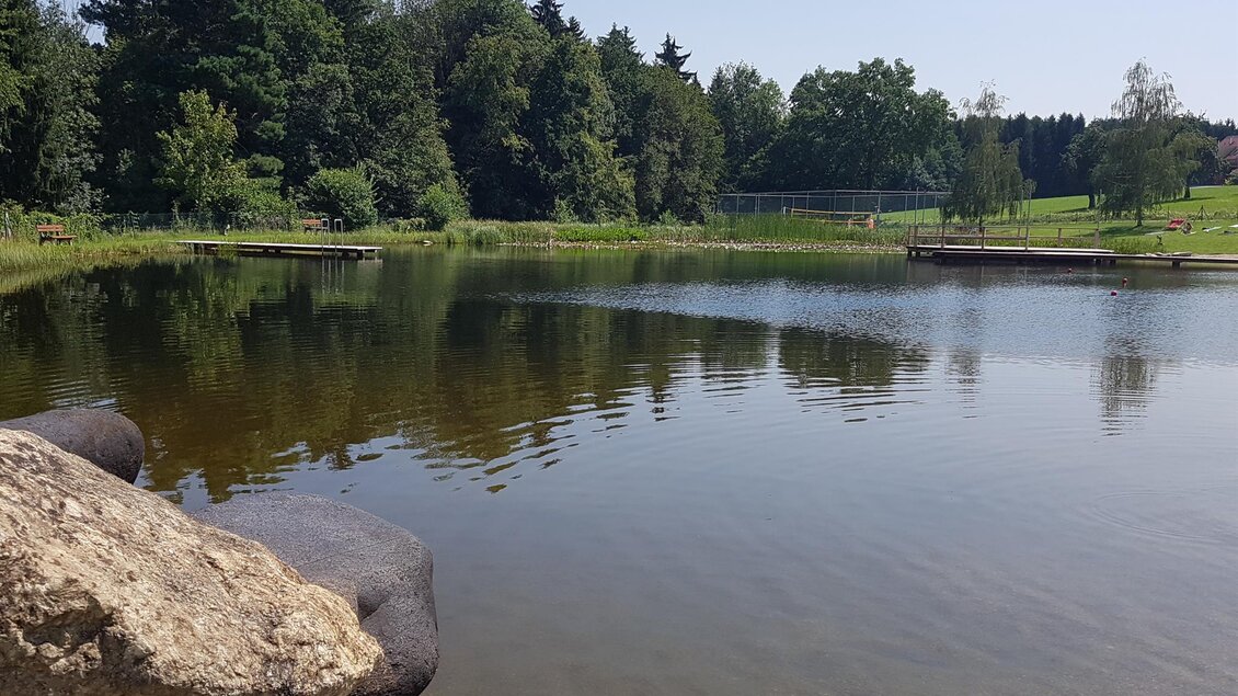 Ein ruhiger See umgeben von Bäumen und Wiese. Im Vordergrund sind große Steine sichtbar. | © Christine Schwetz