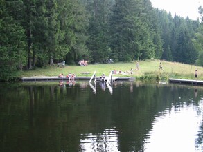 Natural swimming pond Rettenegg_Pond_Eastern Styria | © Naturbadeteich Rettenegg