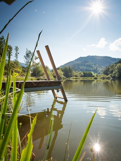 Naturbadeteich Stanz | © Markus Auer