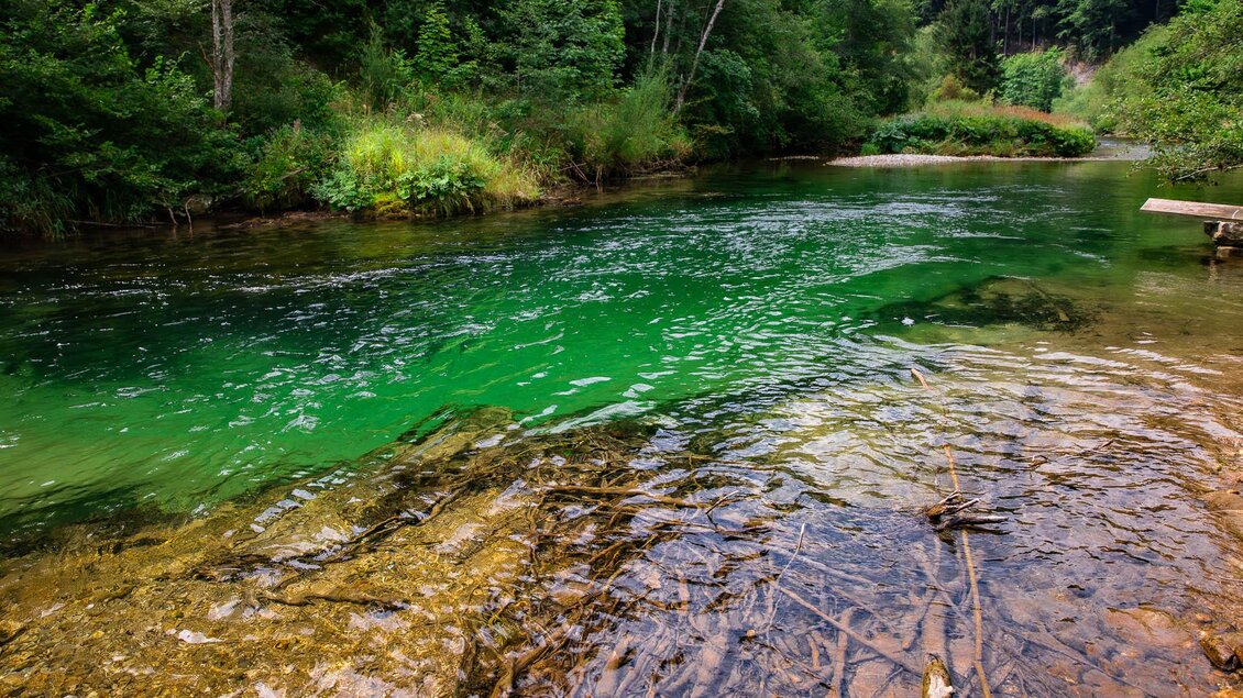 Naturerlebnis Fliegenfischen in der Hochsteiermark | © Pijawetz, Troppacher