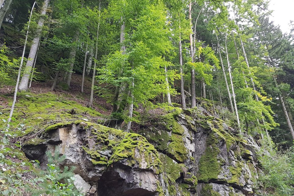 Naturjuwel Pikeroifelsen - Impression #1 | © Tourismusverband Oststeiermark