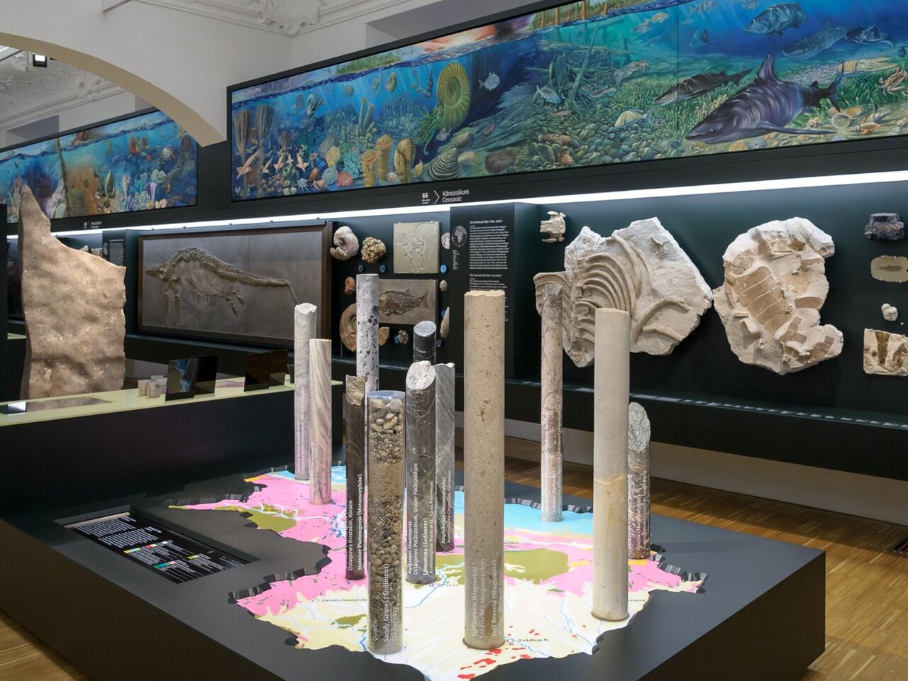 Fossilien-Ausstellung im Naturkundemuseum Graz | © UMJ-N. Lackner