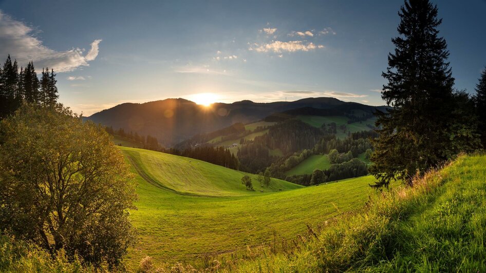 Almenland_Summer alm_Eastern Styria  | © Naturpark Almenland