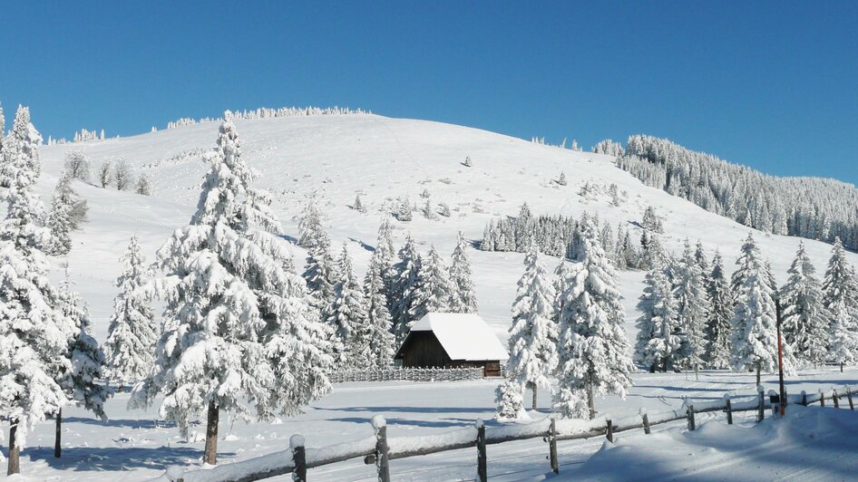 Teichalm Winter_Eastern Styria_Foto Pollhammer | © Tourismusverband Oststeiermark