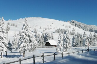 Teichalm Winter_Eastern Styria_Foto Pollhammer | © Tourismusverband Oststeiermark