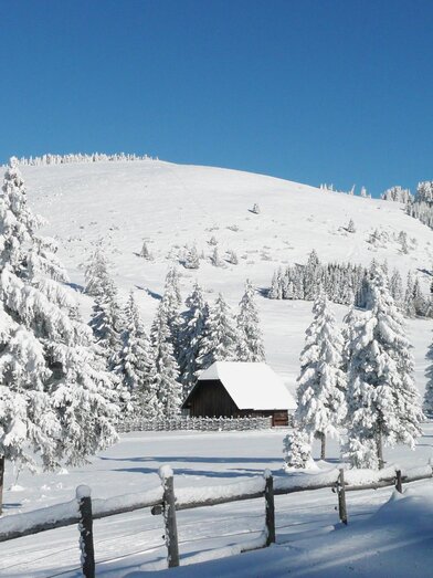 Teichalm Winter_Eastern Styria_Foto Pollhammer | Christine Pollhammer | © Tourismusverband Oststeiermark