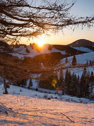 Ein schöner Winterlandschaft mit schneebedeckten Hügeln und einem Baum im Vordergrund. Die Sonne geht hinter den Bergen unter und taucht die Szene in warmes Licht. | © Oststeiermark Tourismus