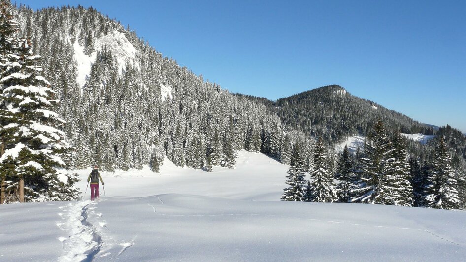 Schneeschuhwandern am Niederalpl | © Naturpark Mürzer Oberland