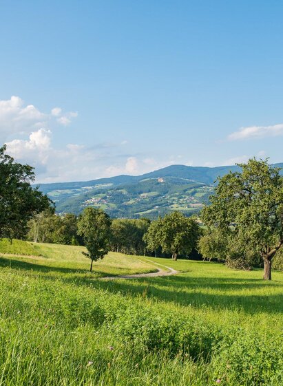 NuP Pöllauer Tal_Kulturlandschaft_Oststeiermark | Helmut Schweighofer | © NuP Pöllauer Tal