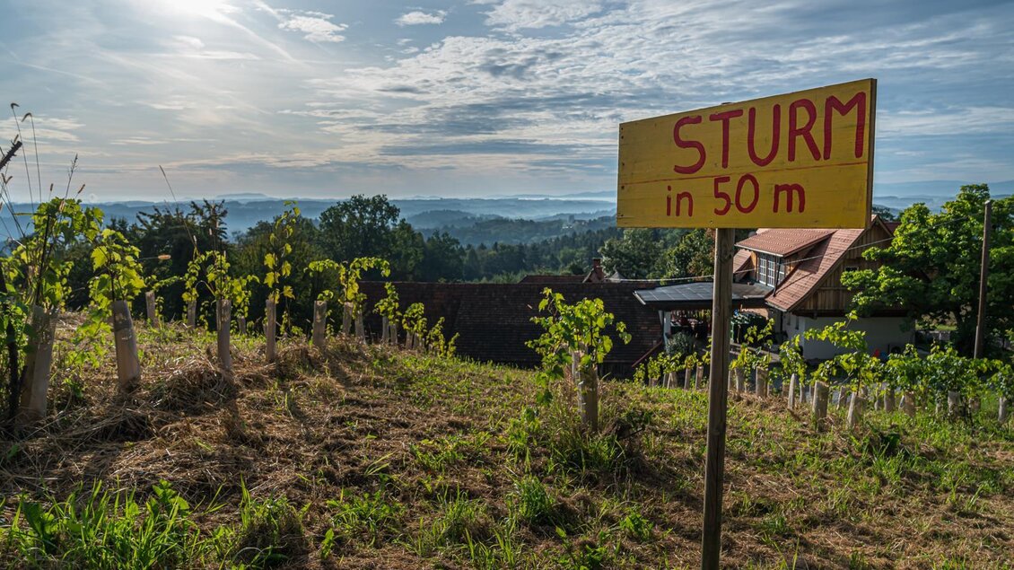 Ein Schild mit der Aufschrift "STURM in 50 m" steht in einem Weinberg. Im Hintergrund sind sanfte Hügel und ein klarer Himmel zu sehen. | © RM SW GmbH | tinefotocom