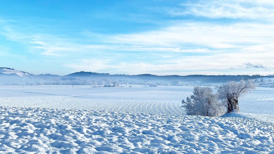 Eine verschneite Landschaft unter einem klaren blauen Himmel. Im Hintergrund sind sanfte Hügel und ein Baum zu sehen. | © Eva Lehner