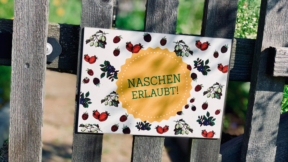 Ein Schild an einem Holzzaun mit der Aufschrift „NASCHEN ERLAUBT!“. Umgeben von bunten Illustrationen von Beeren und Pflanzen. | © Lisi Maier